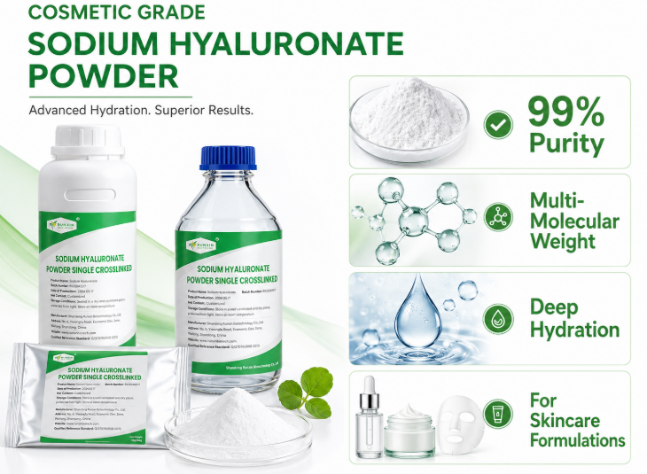 Cosmetic Grade Sodium Hyaluronate Powde Cosmetic Grade Sodium Hyaluronate Powde