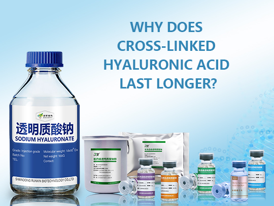 Why does Cross-linked Hyaluronic Acid last longer?