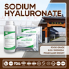 Original Factory Supply 80kDa Sodium Hyaluronate | Food Grade Powder