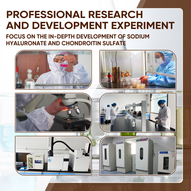 Runxin Cosmetic Grade Sodium Hyaluronate | Verified Purity & Consistent Quality