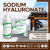 5000 Da Low Molecular Sodium Hyaluronate | RUNXIN Biotech