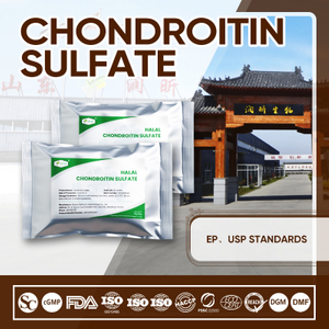 Halal Chondroitin Sulfate – Certified Bovine Cartilage Extract for Joint Health