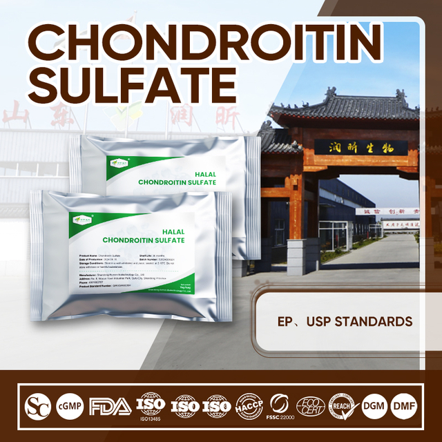 Halal Chondroitin Sulfate – Certified Bovine Cartilage Extract for Joint Health