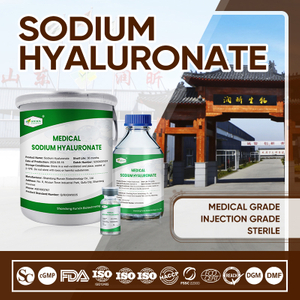 Low Endotoxin Sodium Hyaluronate | Pharmaceutical Grade Raw Material