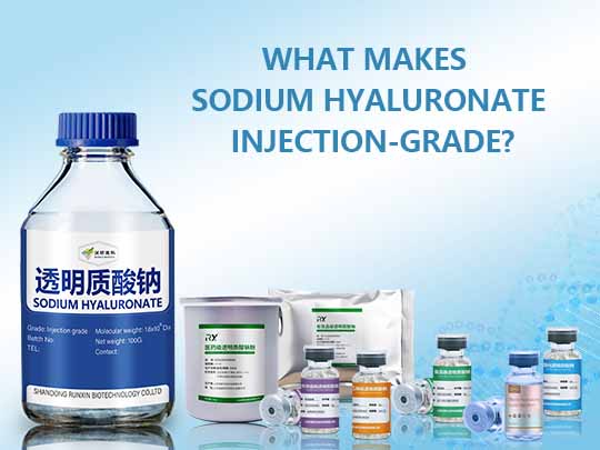 What Makes Sodium Hyaluronate Injection-Grade?