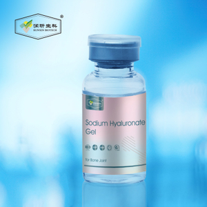 RUNXIN BIOTECH Sodium Hyaluronate Gel for Bone Joint