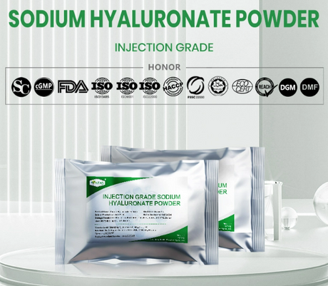 Injection Grade Sodium Hyaluronate Powder.png